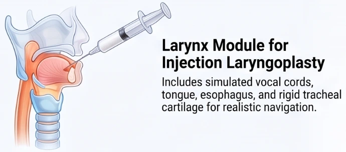 Synthetic larynx module for injection laryngoplasty training